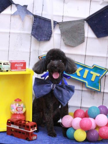 20230414梅ちゃん